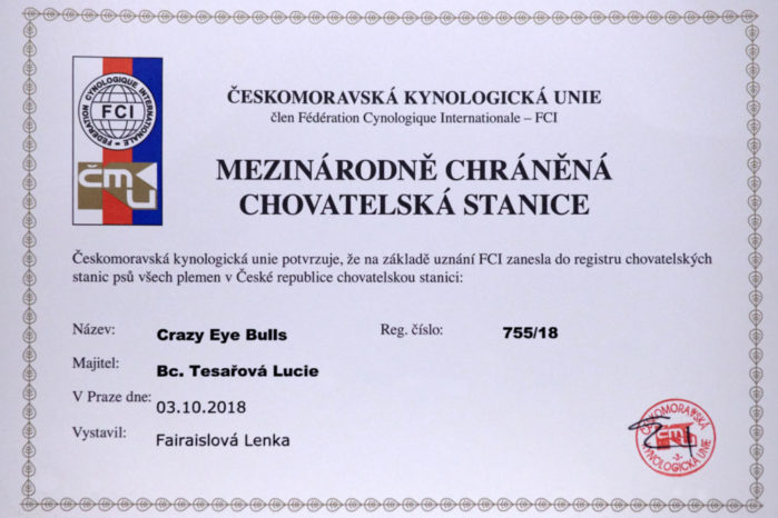 Právě si prohlížíte Chovatelská stanice Crazy Eye Bulls