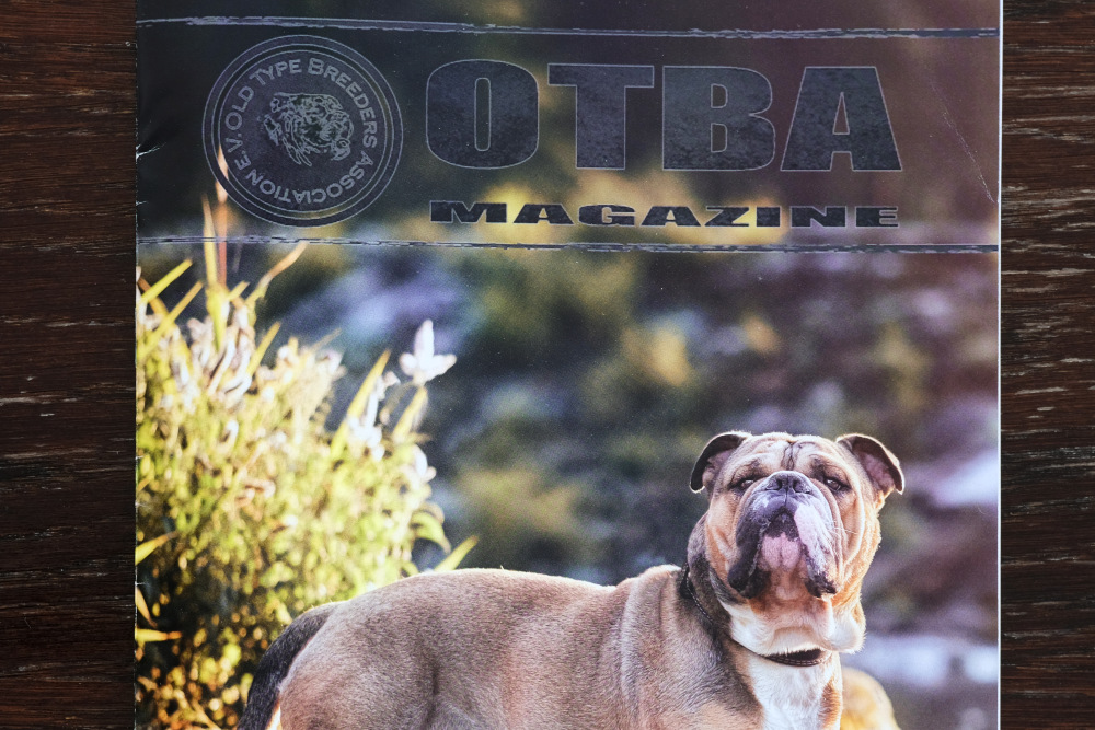 You are currently viewing Our story in OTBA Magazine