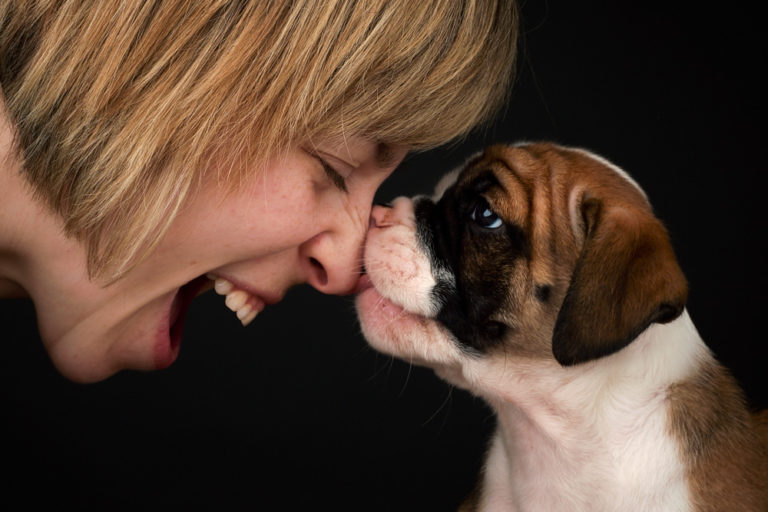 Read more about the article Puppies are 7 weeks old