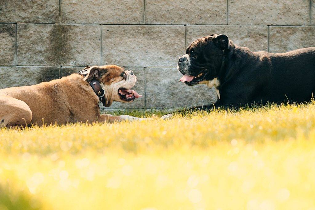 Mit Debi bei Bruno